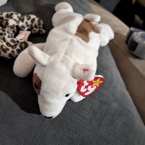 1999 Ty original Beanie Baby Butch